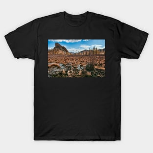 Turtle Rock, Terelj, Mongolia. T-Shirt